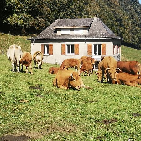 Villa Tourmalet Campan Exterior foto